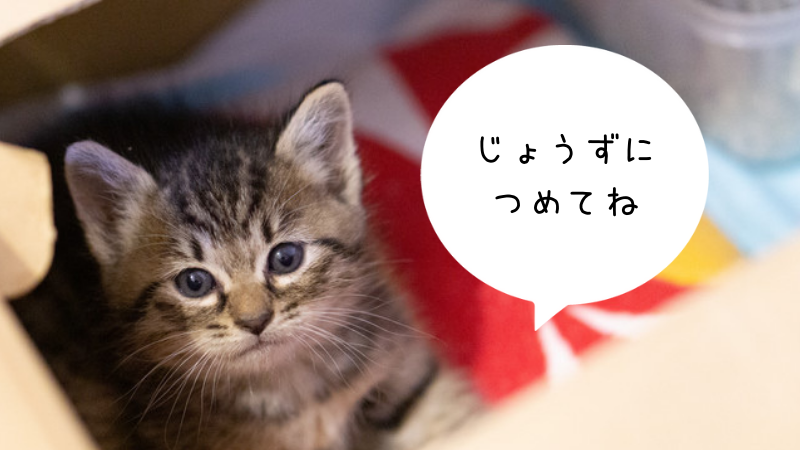 引越しの荷物を減らす一工夫!ダンボール詰め方のコツをご紹介!の画像