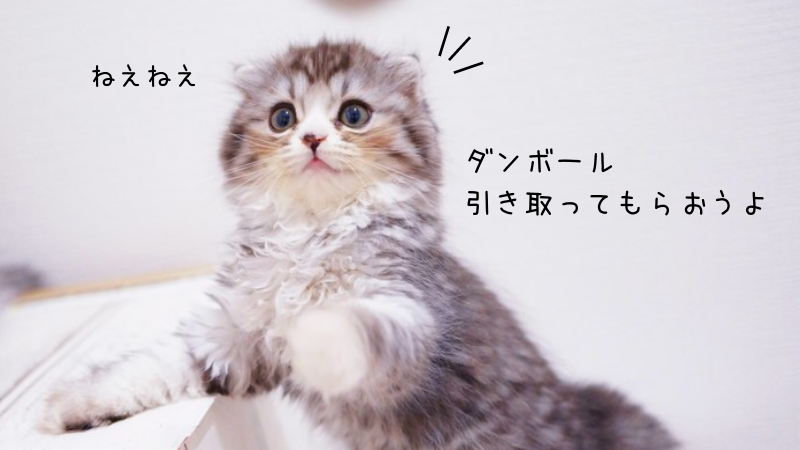 引越し後のダンボールはどうしたらいいの?処分の方法のご紹介の画像