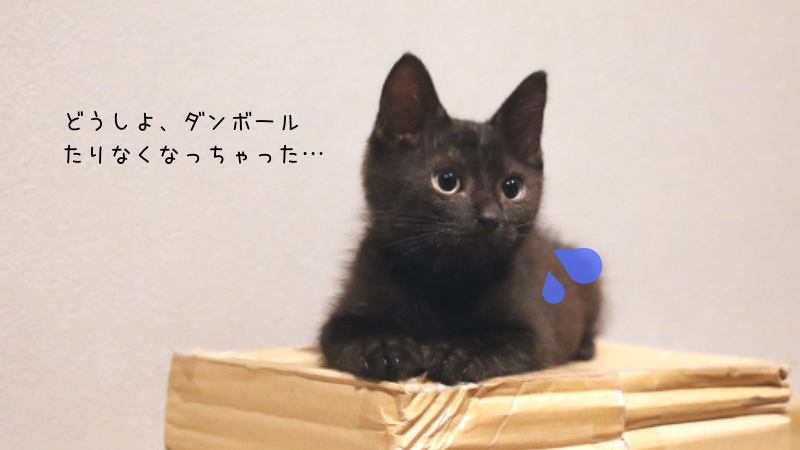引越しのダンボールが足りない!平均的に必要なダンボール数は?の画像